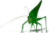Cartoon Grasshopper With Shadow Clip Art